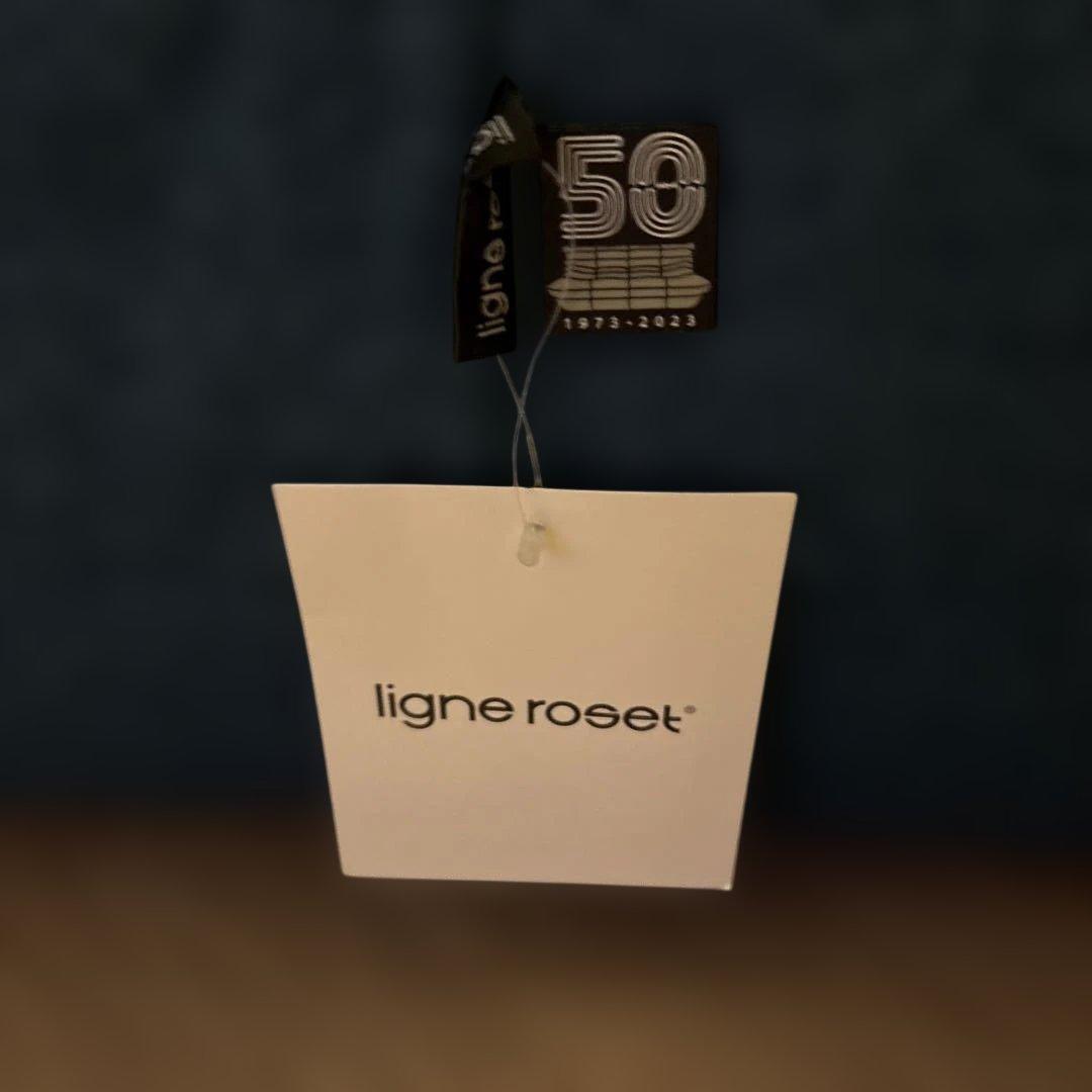 【保証書付き】ligne roset 1人掛けソファ 50周年記念モデル