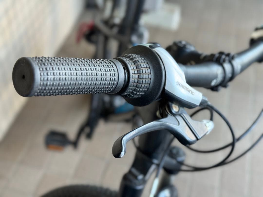 TREK キッズバイク　24インチ(手渡しOK)