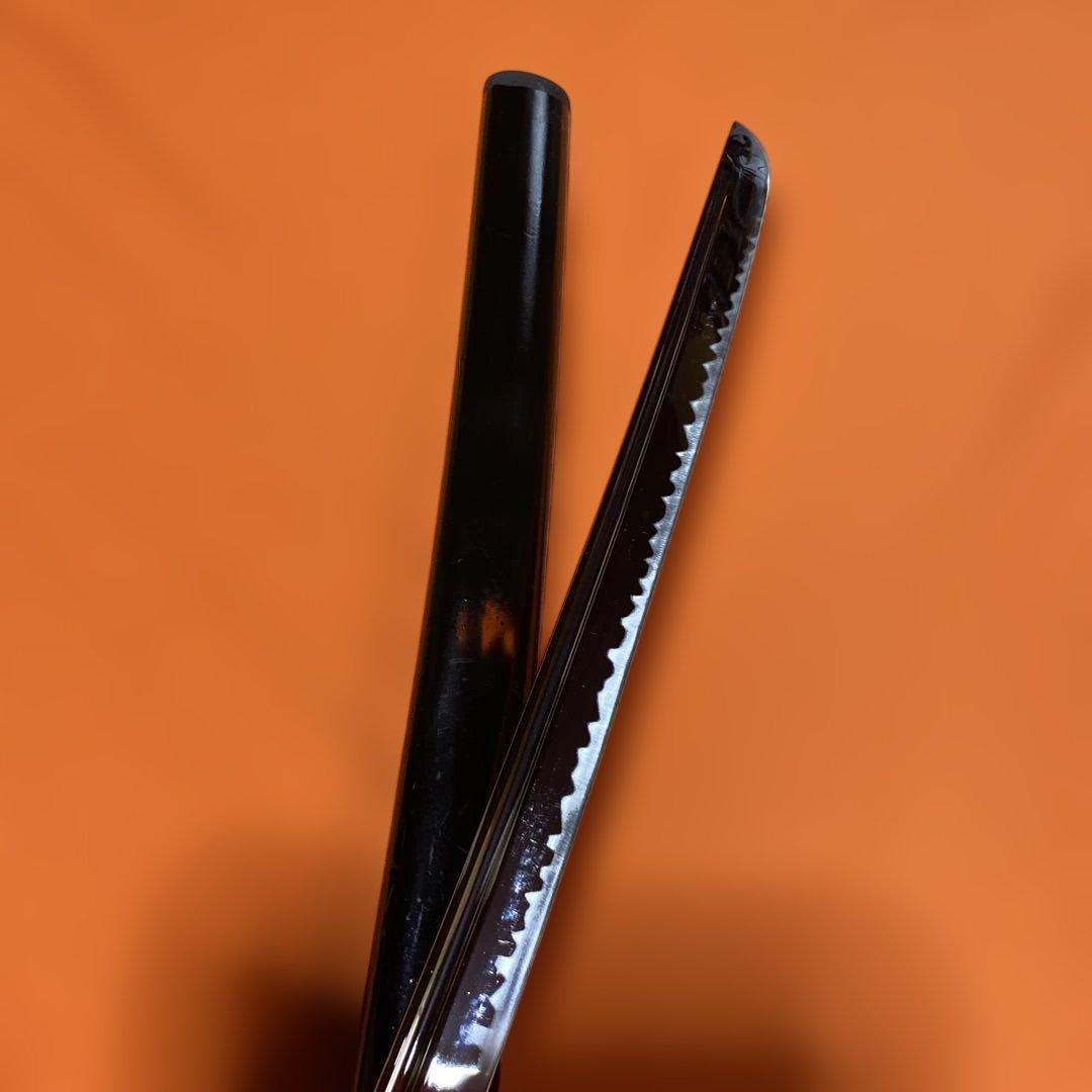 居合刀 黒柄 日出鳥木波図丸鍔 点炎黒呂鞘