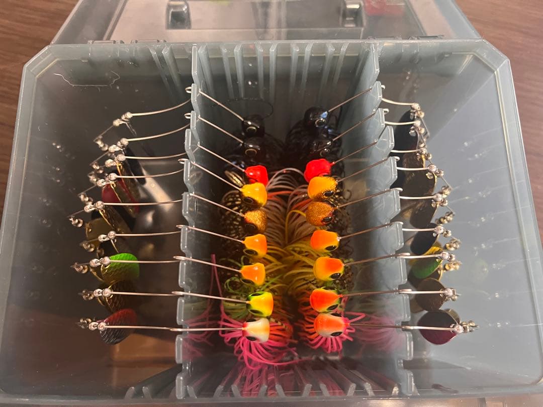 D-ゾーン D-ゾーン エバーグリーン