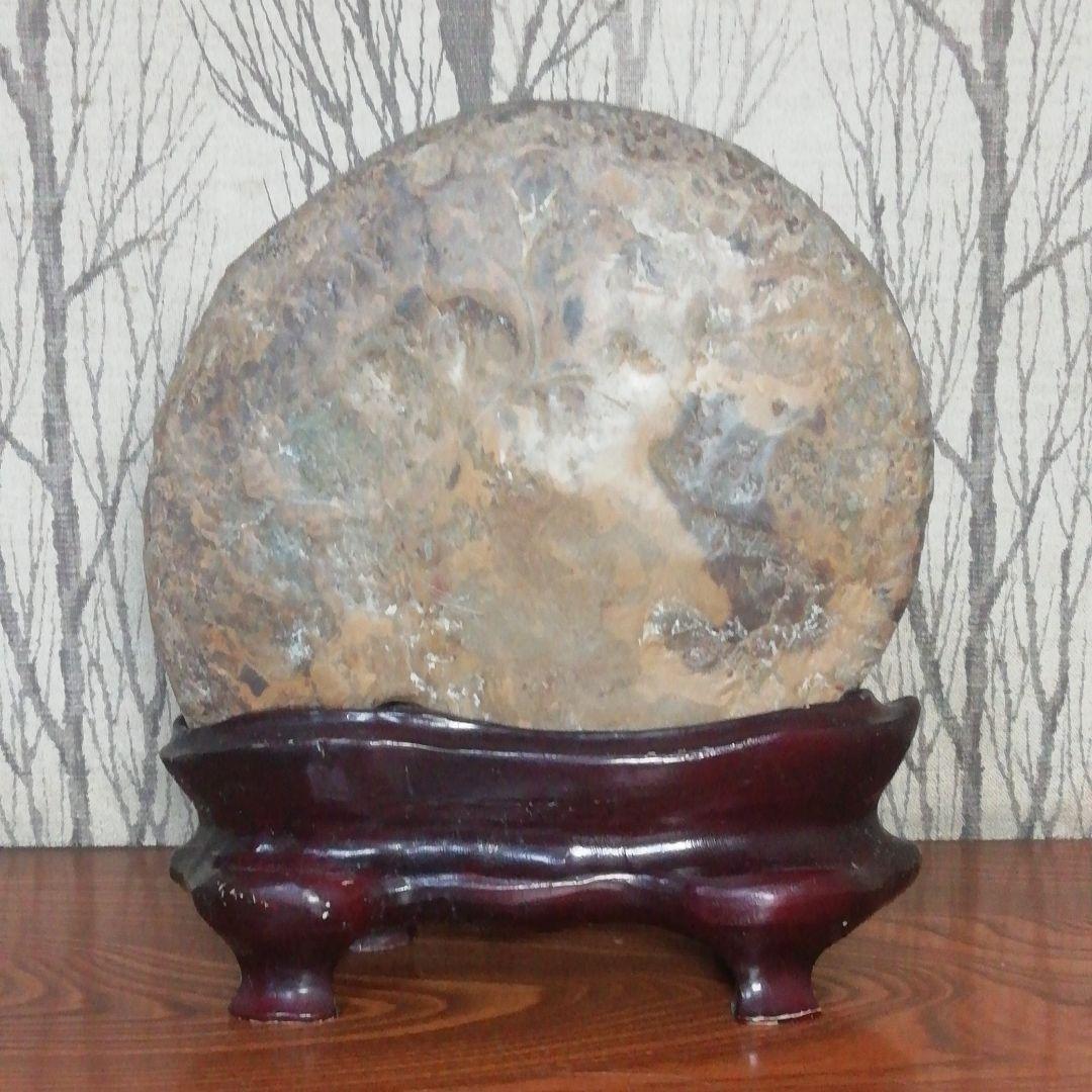 アンモナイト 化石 北海道産 台座付