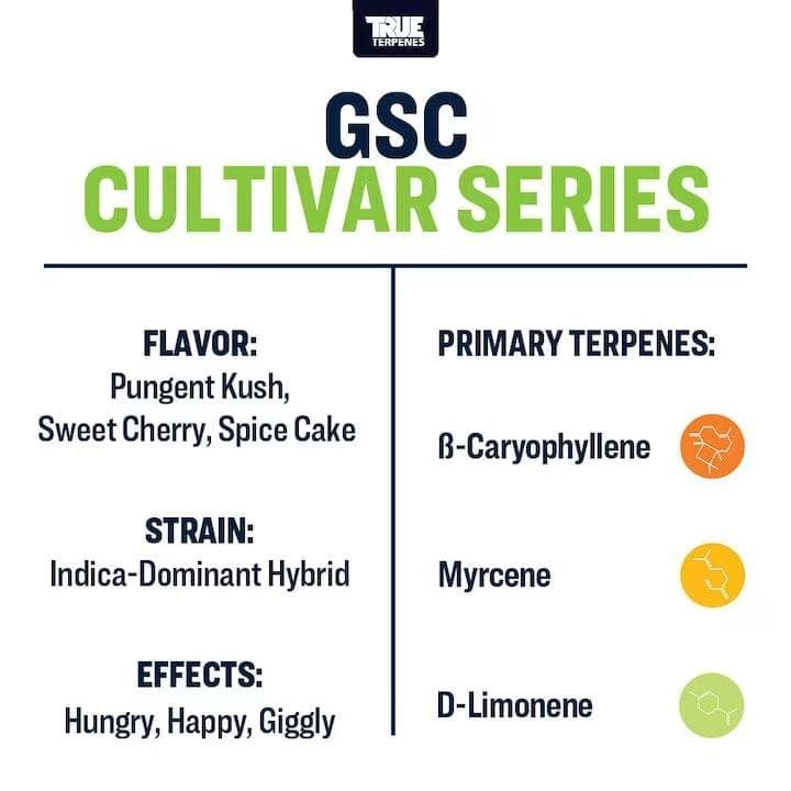 TRUE テルペン 香料 CBD CBN 10ml ガールズスカウトクッキーズ