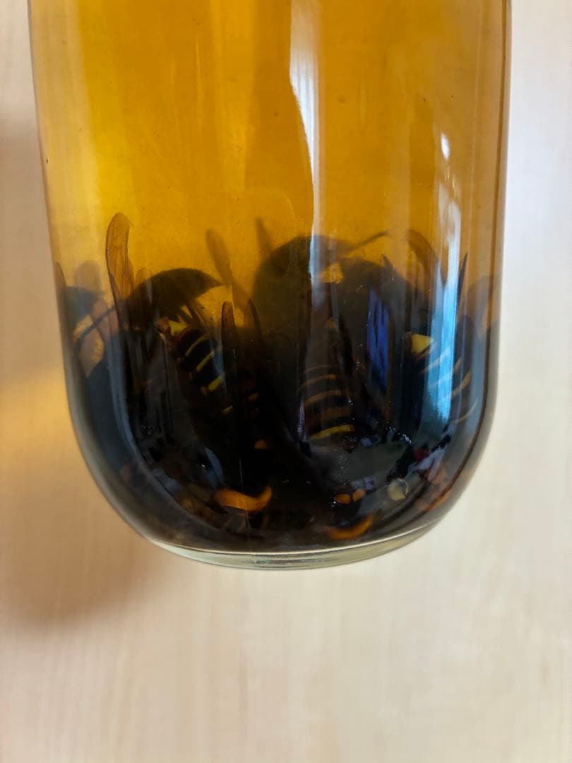 35年熟成　蜂酒 オオスズメバチ酒