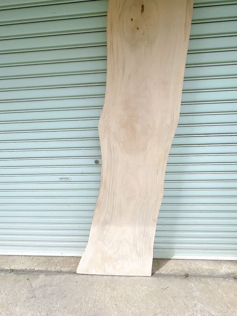 天然　イチョウ　木材　天板　テレビ台　無垢材　カウンターテーブル　一枚板　机