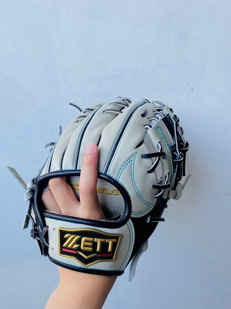 【最高級】プロステイタス　硬式オーダーグラブ