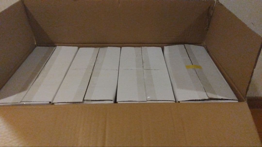 ペディボヌール　ペダル式 ゴミ箱　ダストボックス ふた付き 5L　セット価格