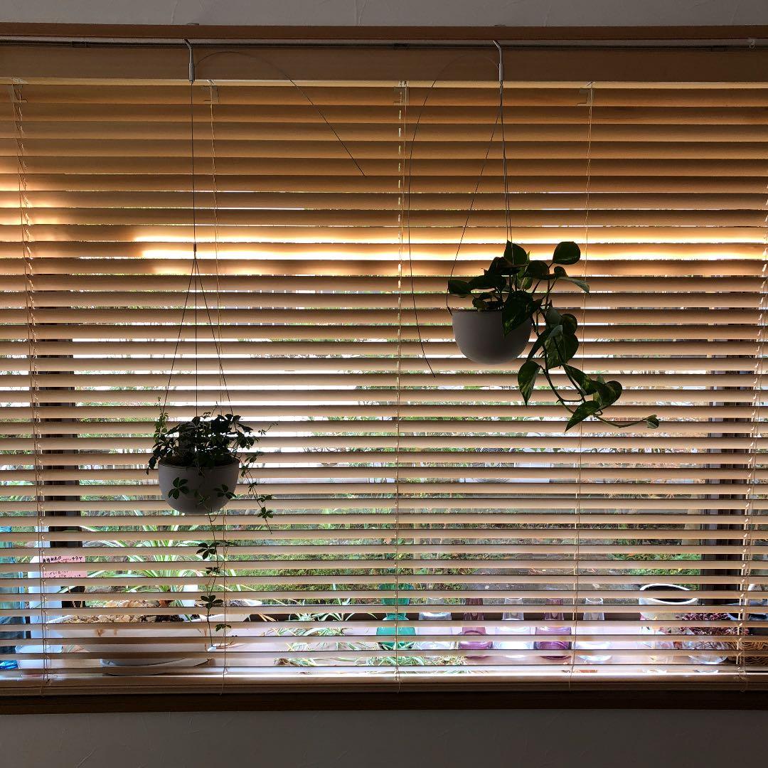 タチカワ　カスタマイズブラインド　フォレティア　チェーン