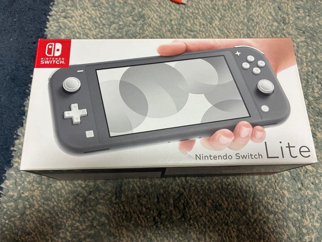 ジャンク品　Nintendo Switch Lite グレー