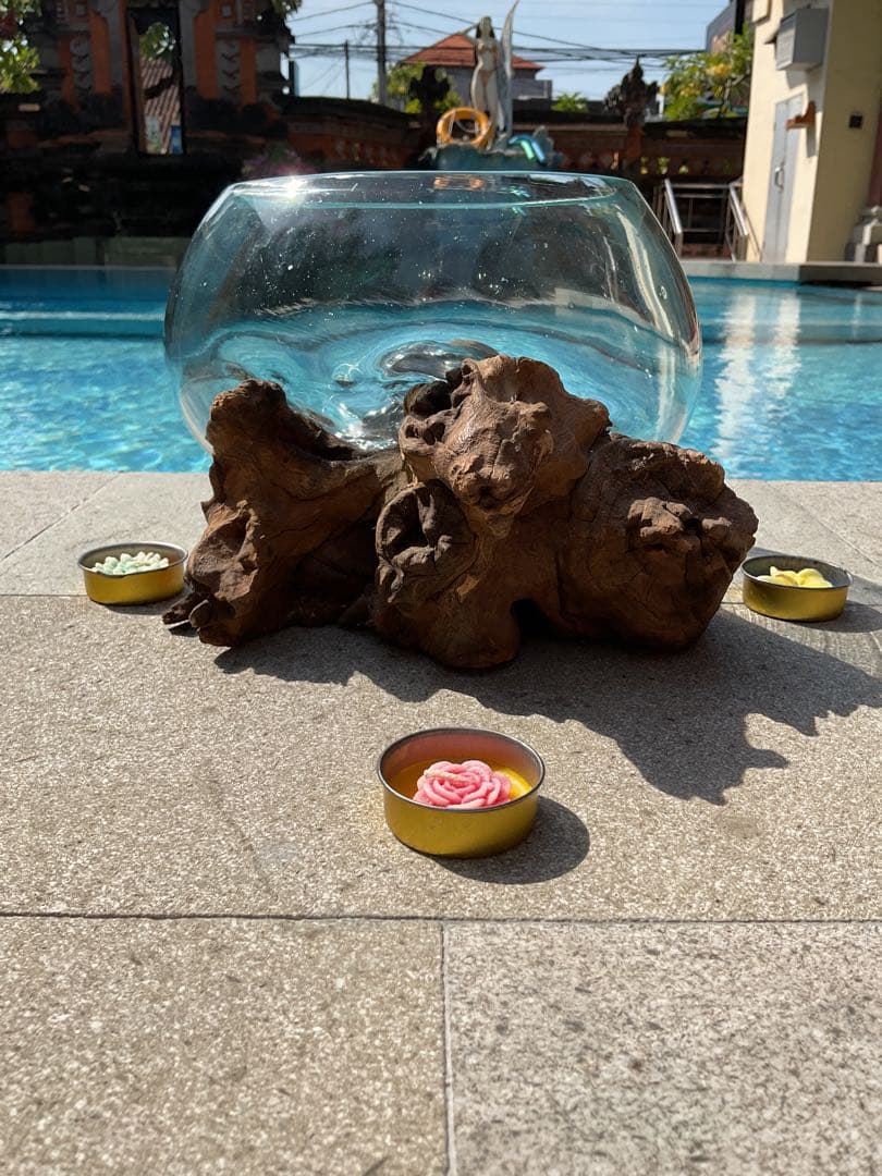 【新入荷】フィッシュボール(天然木ガラス水槽)カメ似