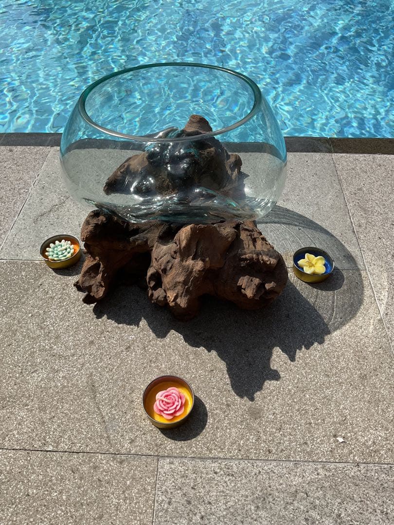 【新入荷】フィッシュボール(天然木ガラス水槽)カメ似