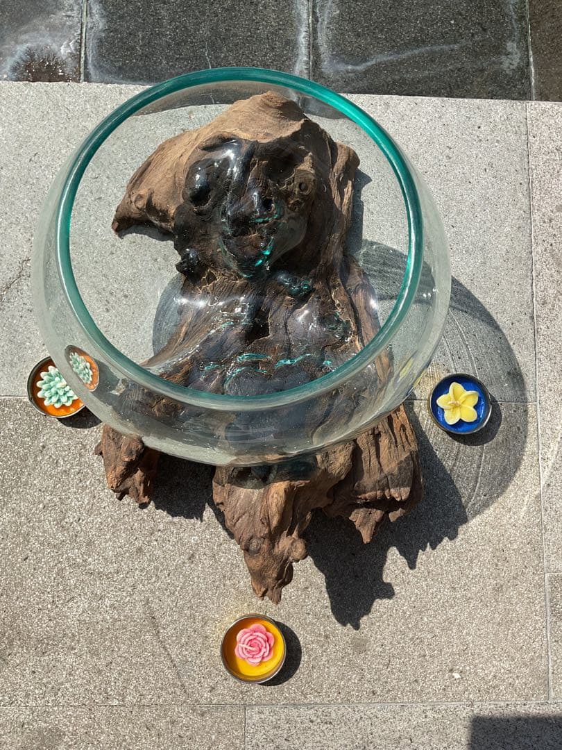 【新入荷】フィッシュボール(天然木ガラス水槽)カメ似