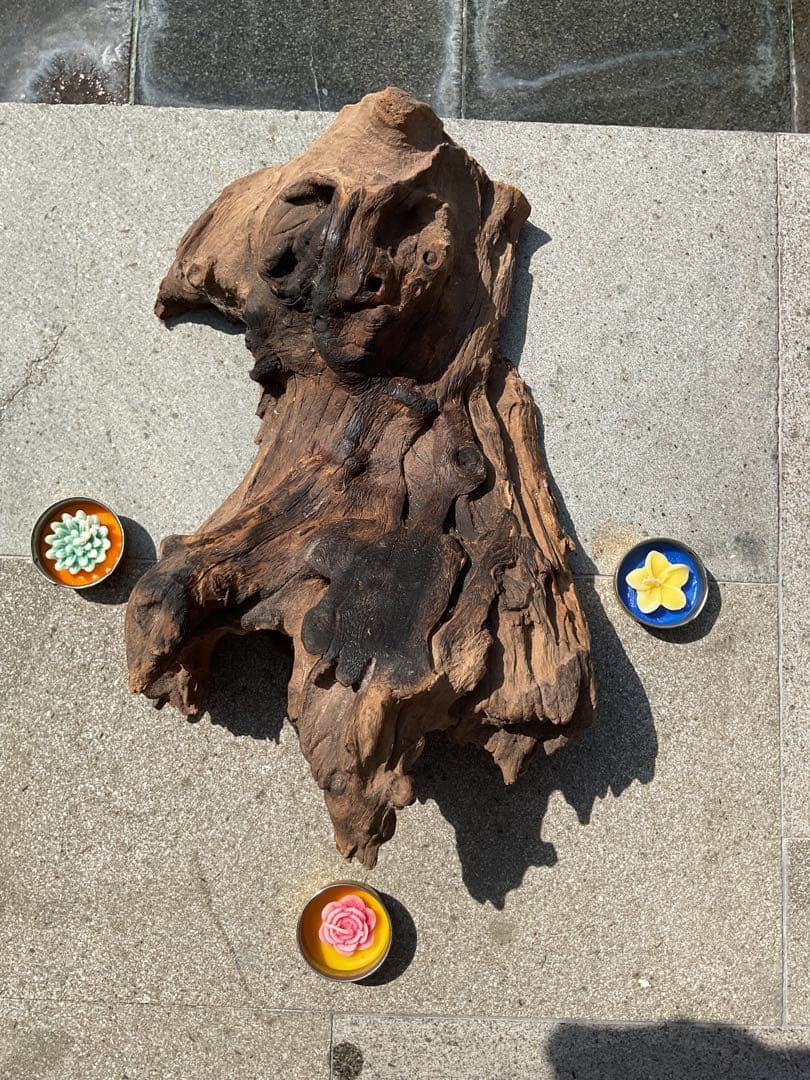 【新入荷】フィッシュボール(天然木ガラス水槽)カメ似