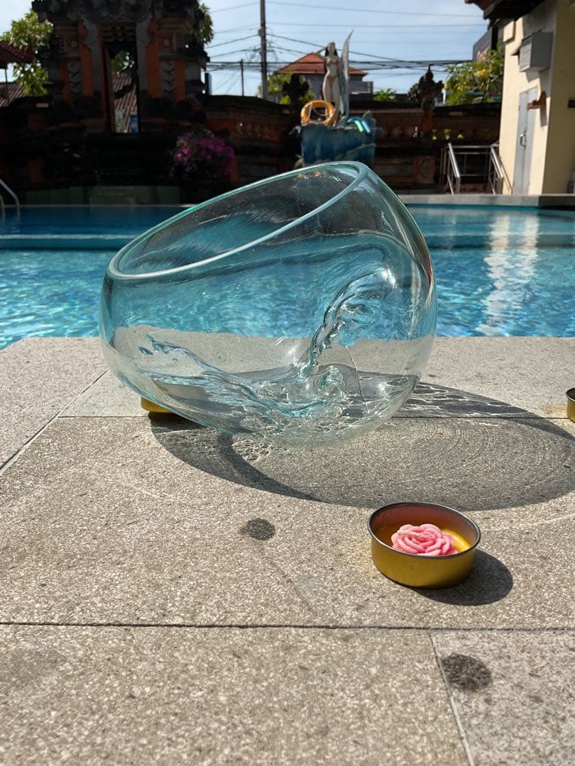 【新入荷】フィッシュボール(天然木ガラス水槽)カメ似