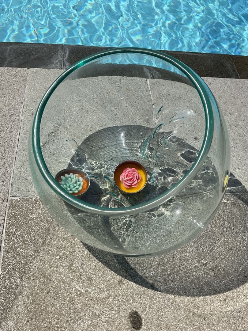 【新入荷】フィッシュボール(天然木ガラス水槽)カメ似