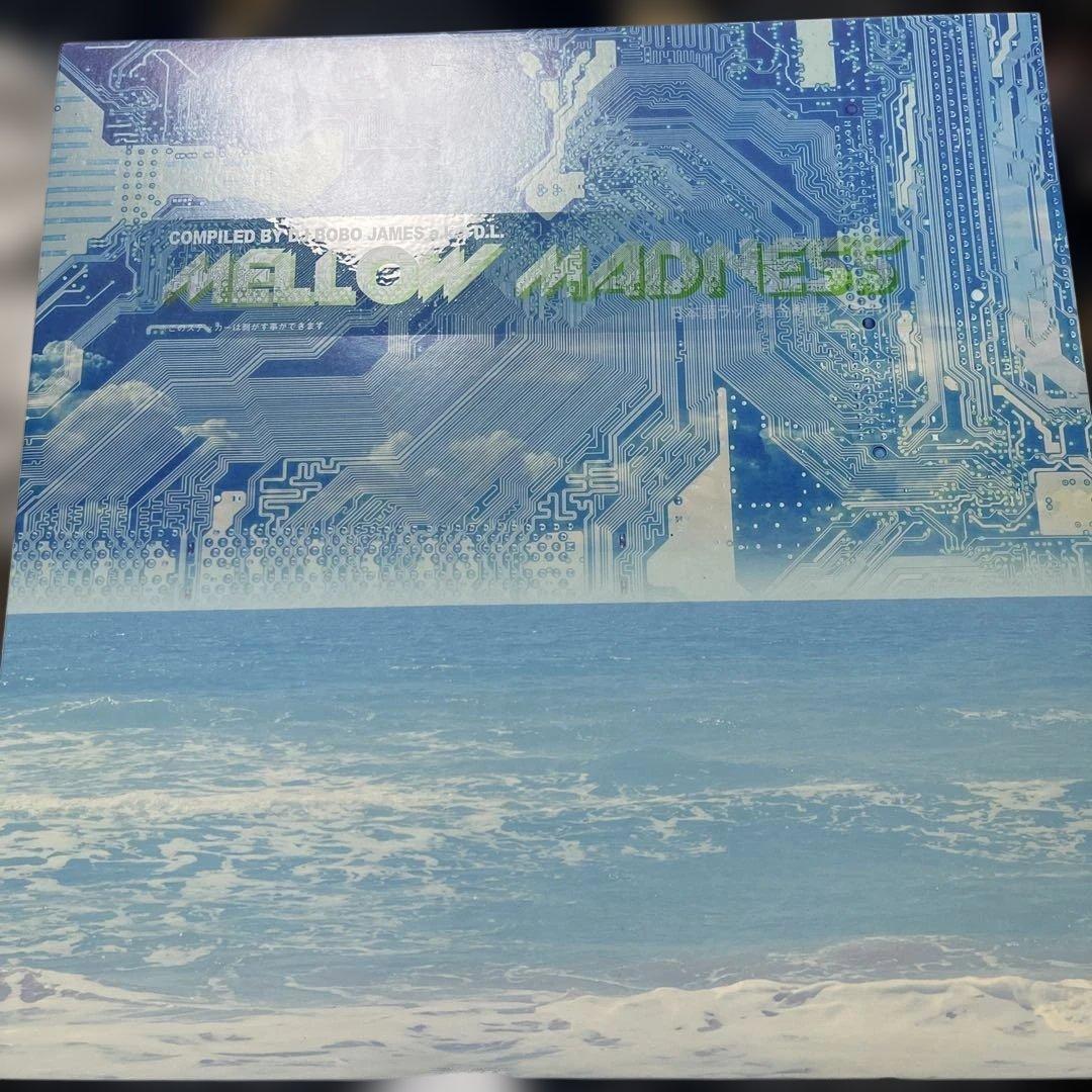 邦楽 DEV LARGE MELLOW MADNESS 3LP