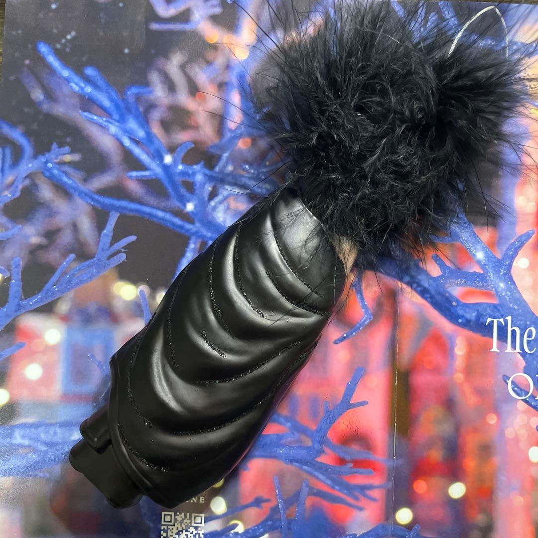 アスティエ・ド・ヴィラット　クリスマスオーナメント　シェール