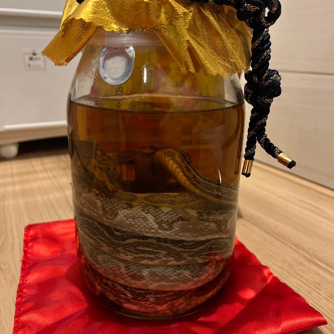 沖縄県産 ハブ酒 夫婦ハブ アルコール分 35% 内容量 1.4L