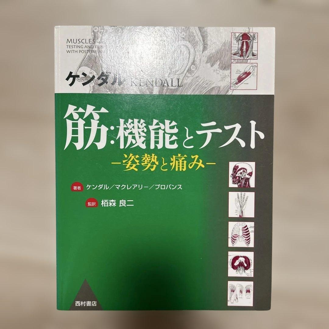 【希少・廃盤】ケンダル 筋：機能とテスト 姿勢と痛み
