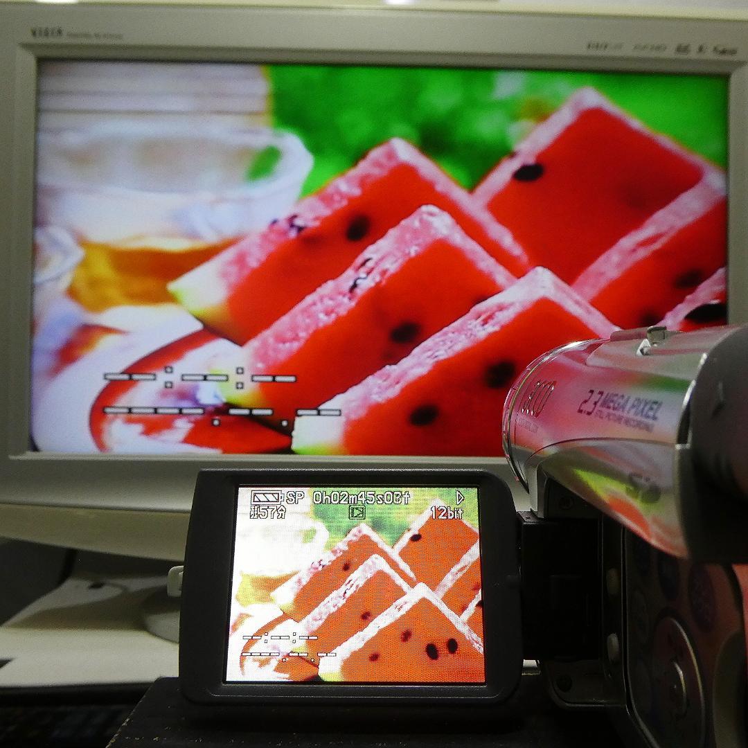 動作良好 パナソニック NV-GS200 MiniDVビデオDVDダビングに最適