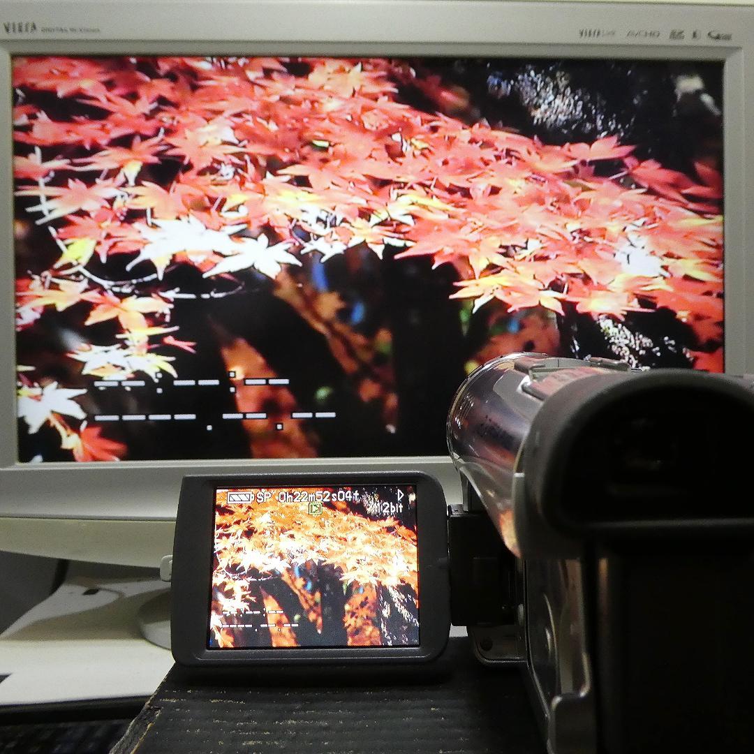 動作良好 パナソニック NV-GS200 MiniDVビデオDVDダビングに最適