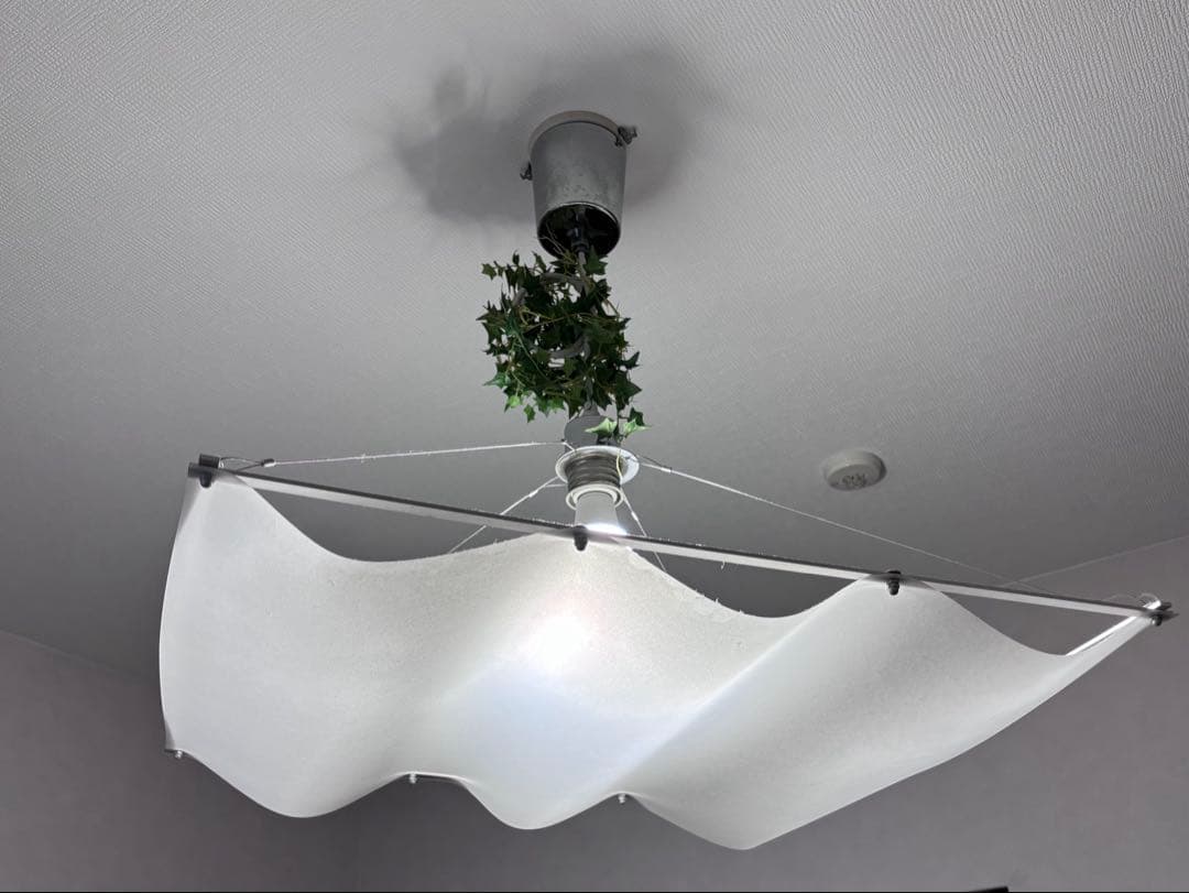 希少 DI CLASSEペンダント ディクラッセ オンダホワイト•オンダウッド