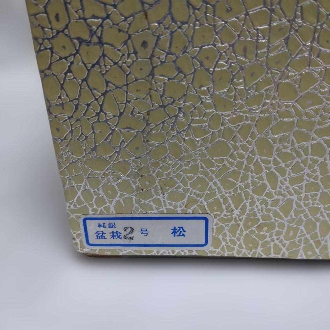 h*中様 純銀製 光則作 盆栽 2号「松」ガラスケース・紙箱付き