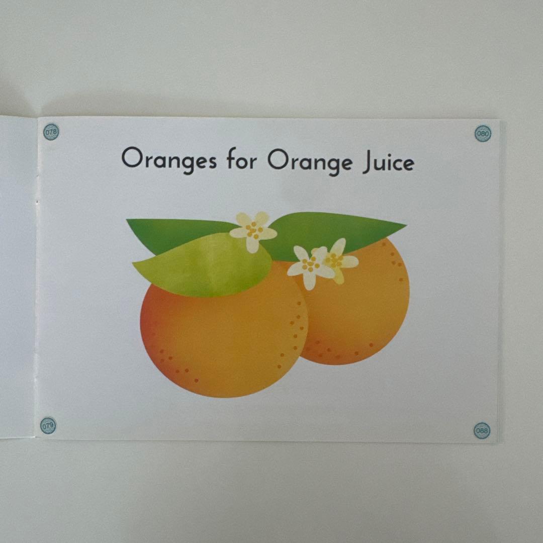 ctp 絵本　レベル1-2 絵本24冊+CD＋ワークシート