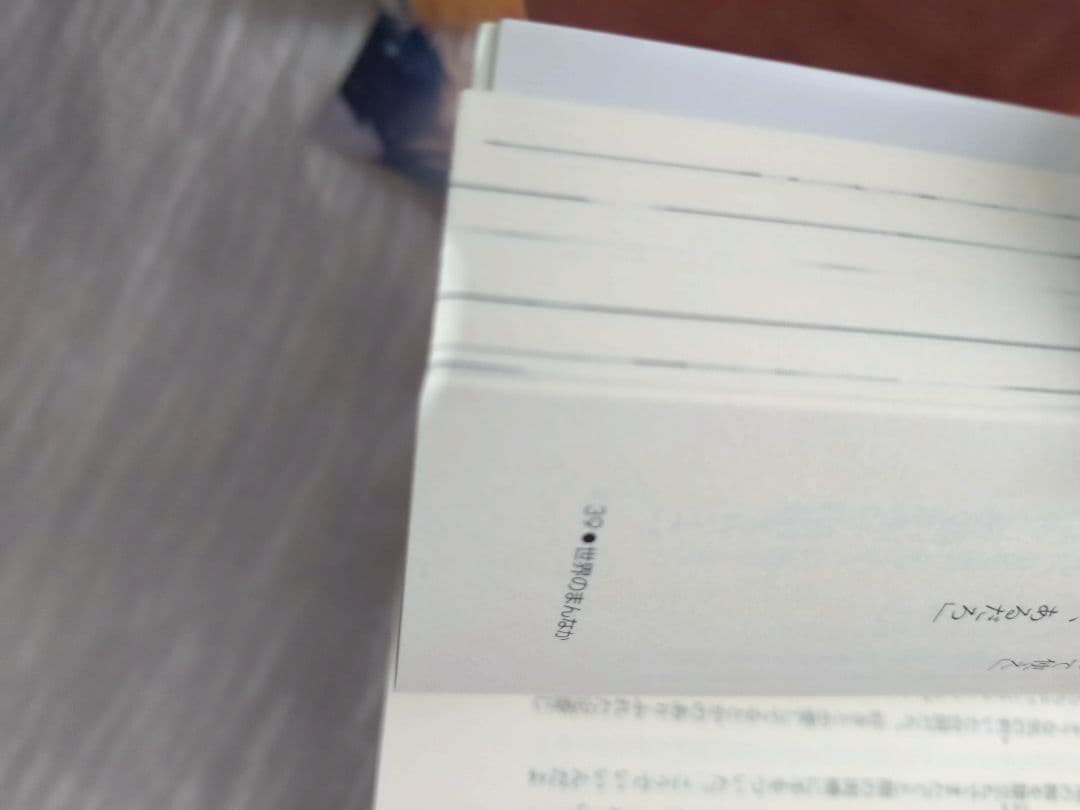 BL小説 イエスかノーか半分か シリーズ まとめ売り 一穂ミチ