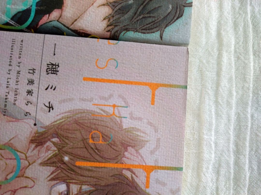 BL小説 イエスかノーか半分か シリーズ まとめ売り 一穂ミチ