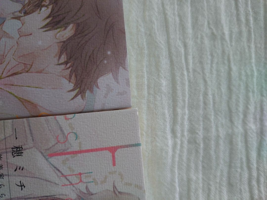 BL小説 イエスかノーか半分か シリーズ まとめ売り 一穂ミチ