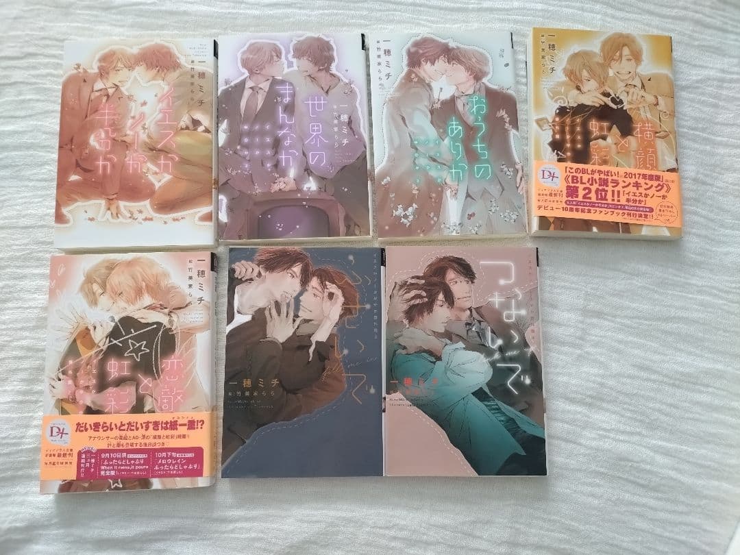 BL小説 イエスかノーか半分か シリーズ まとめ売り 一穂ミチ