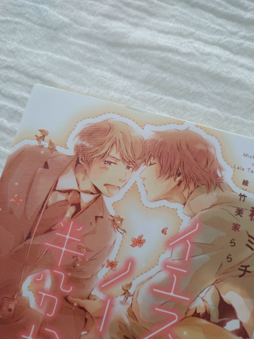 BL小説 イエスかノーか半分か シリーズ まとめ売り 一穂ミチ