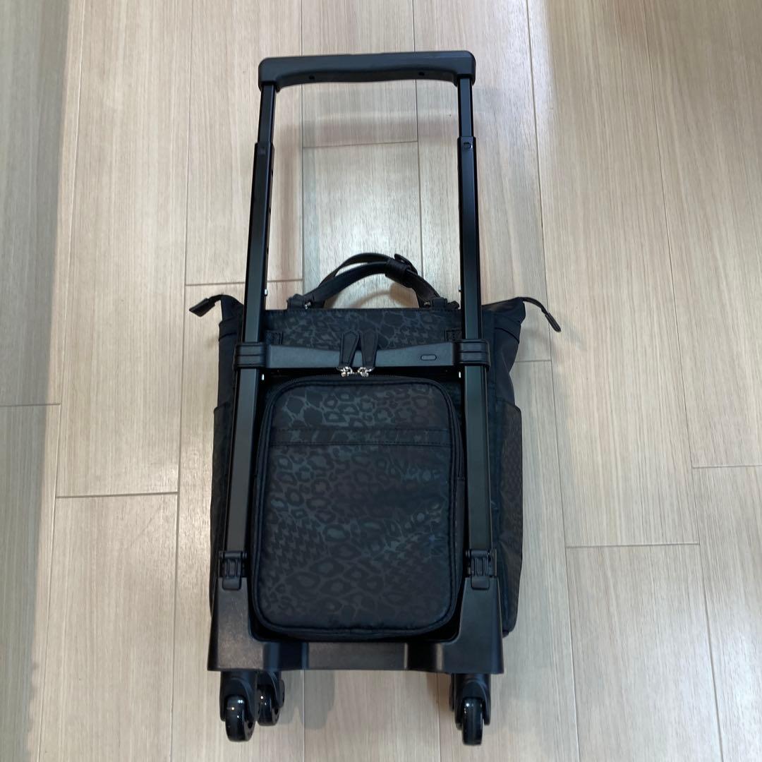 スワニー　キャリーバッグ