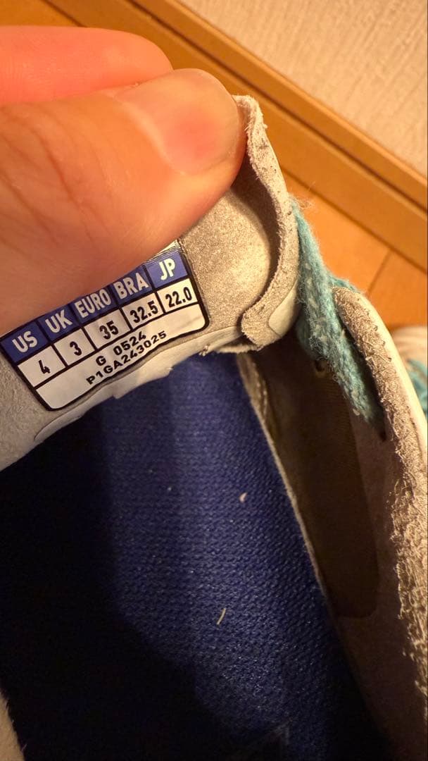 モレリア&モナルシーダ【22㌢】Mizuno サッカースパイク ホワイト/ブルー