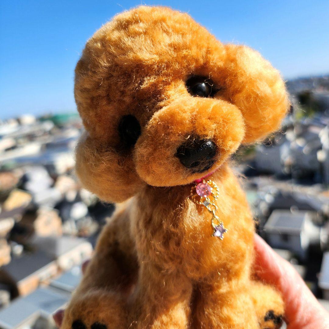 トイプードル❤️ハンドメイド❤️　　　　　　　　　　　　　お迎え決まりました♥️