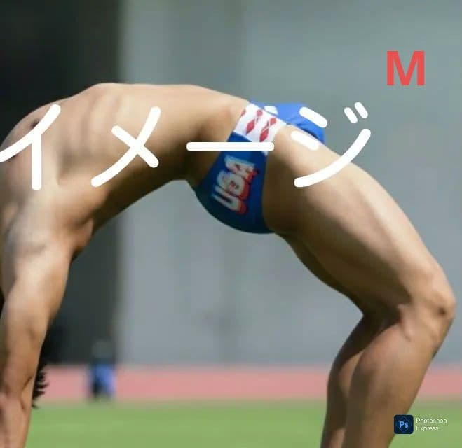 arena Gino 競泳水着 Vパン　Mサイズ 青