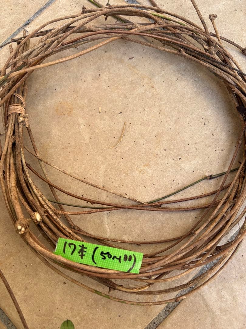 天然素材✴️採りたて あけび ランナー蔓(根蔓) 900g✴️70本+おまけ