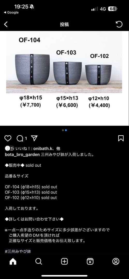 インボイス発行可 オペルクリカリア パキプス ボコ肌 発根済み 三州みやび鉢