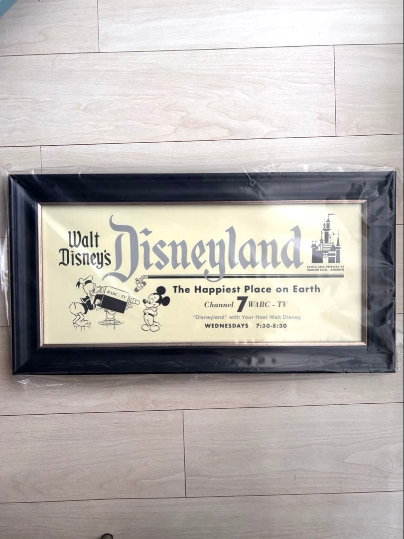 【みみ※プロフ必読お願いします】Disneyland ウォールアート