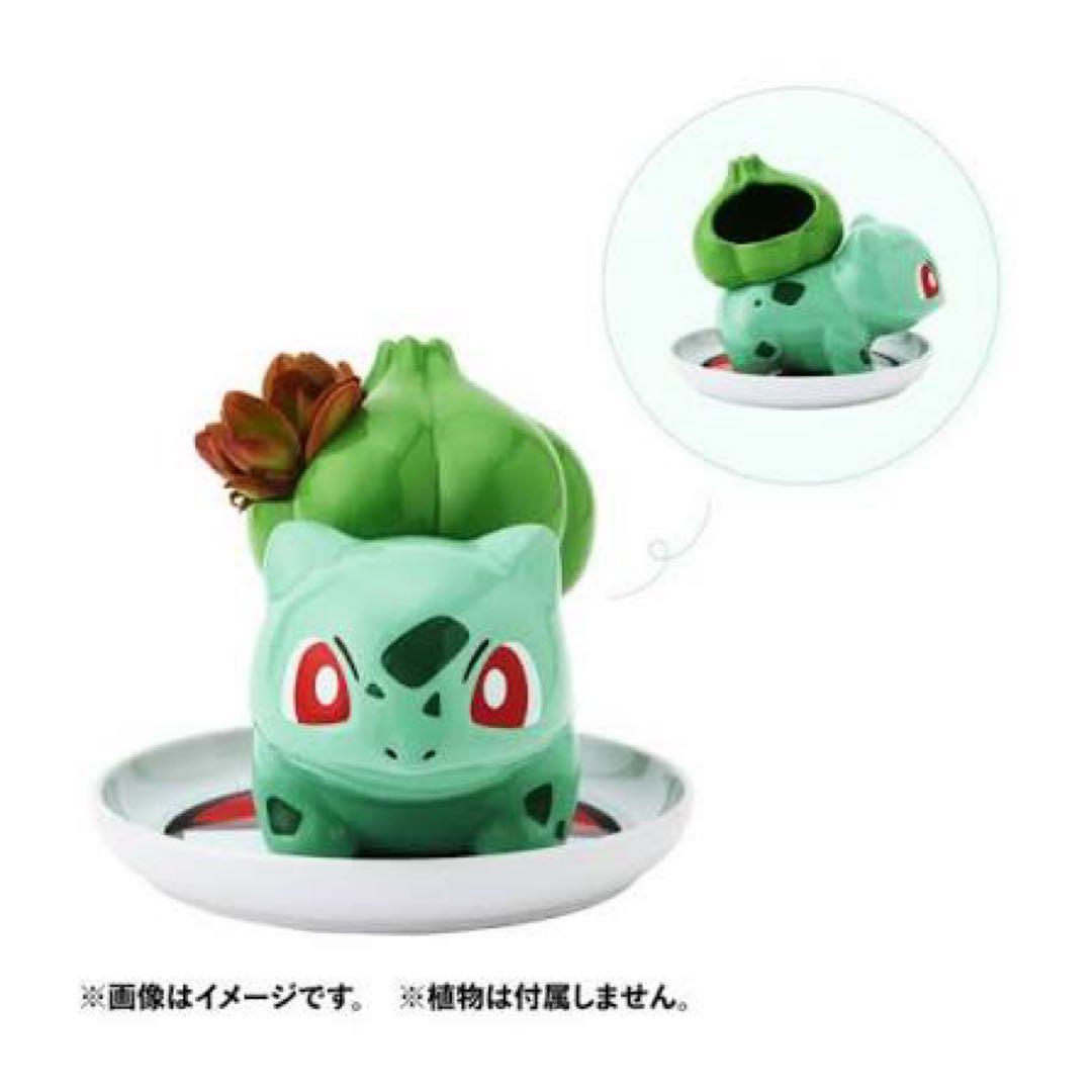 ポケモン フシギダネ ミニ植木鉢