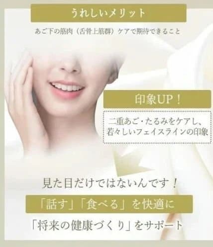 ルネサンス開発 StyllyFace EMS 美顔器　スタイリーフェイス