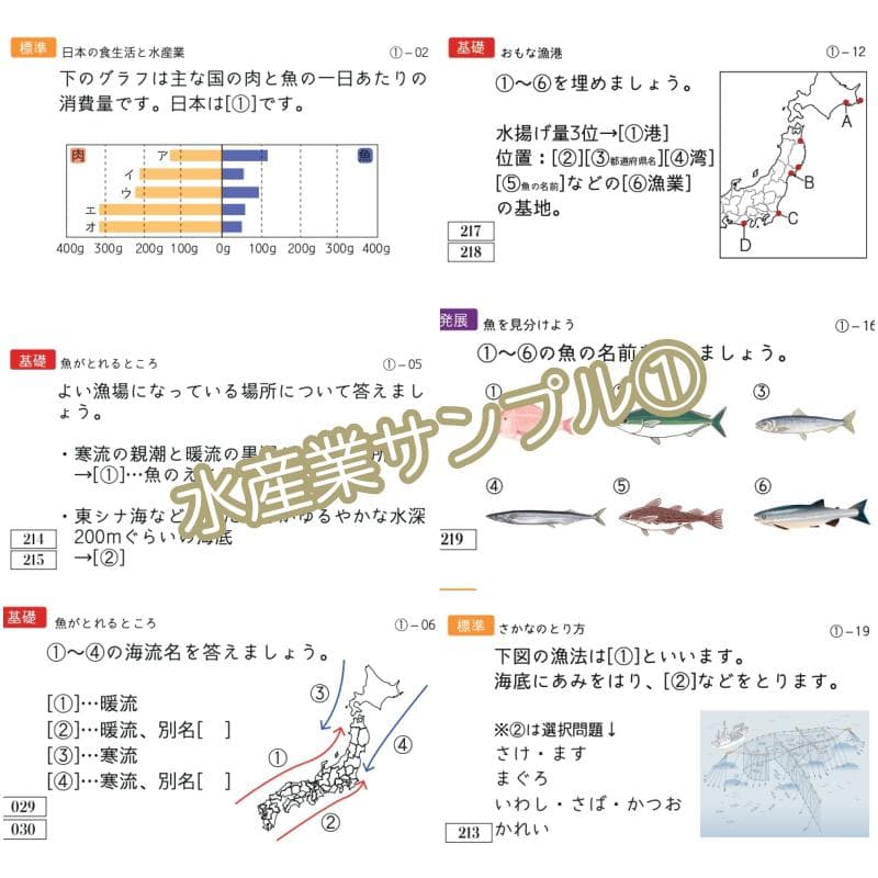 中学受験 暗記カード　極める地理(分野別)　サピックス　コアプラス　予習シリーズ