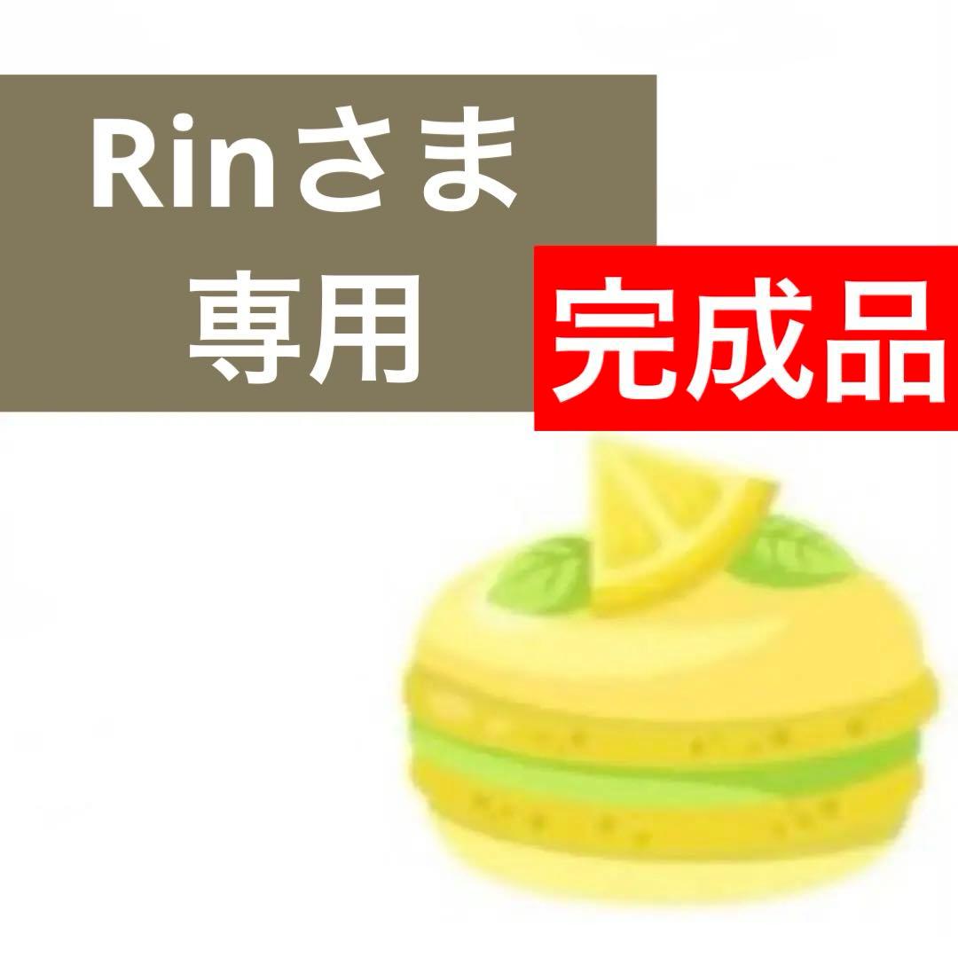 ⭕️完成品⭕️Rinさま専用　4点セット