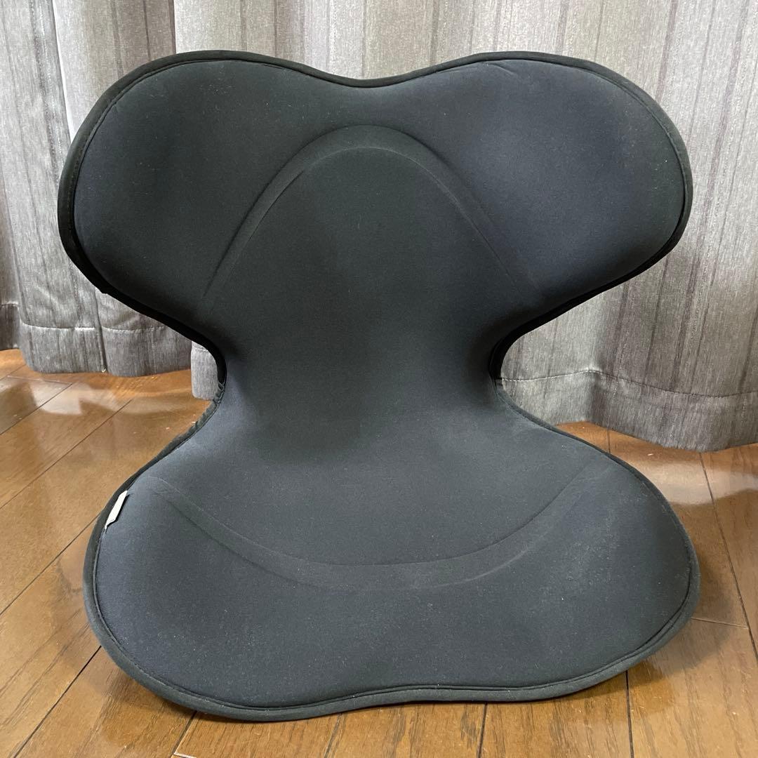 Style SMART スタイルスマート 椅子 クッション MTG