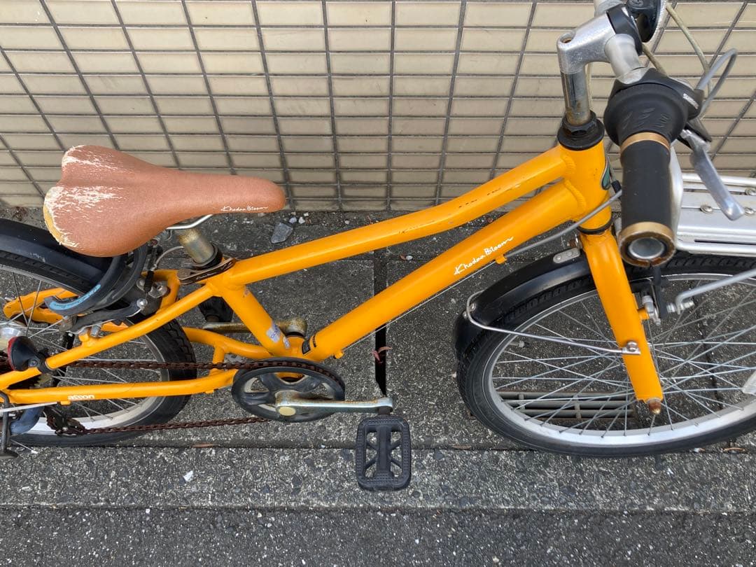 コーダーブルーム アッソン J22 KhodaaBloom asson J22