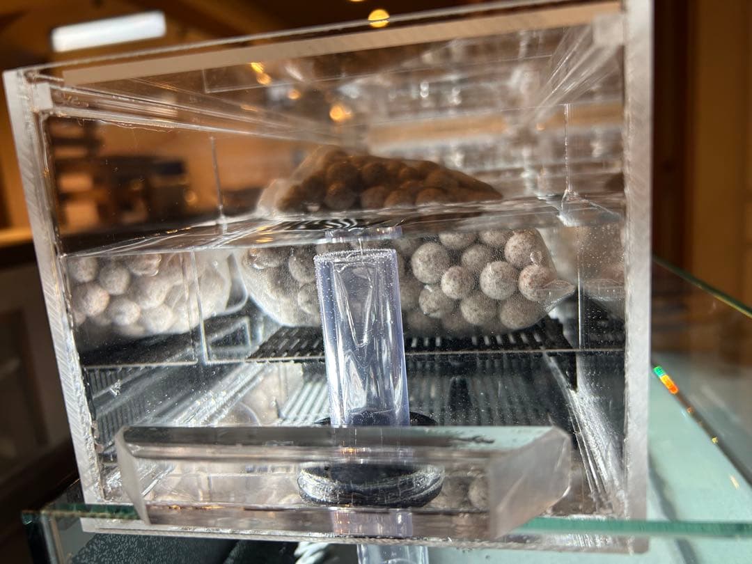 まりもアクリル水槽