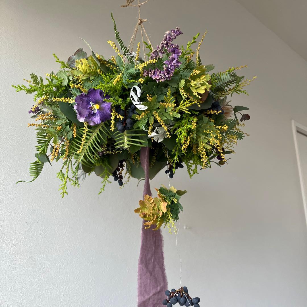 感謝SALE!オーレアミモザとプルモサムのフライングリース　ビオラ