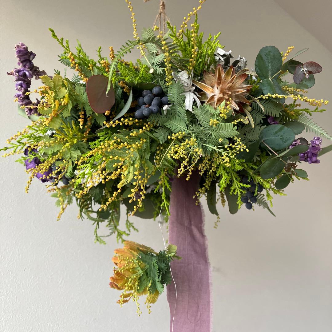 感謝SALE!オーレアミモザとプルモサムのフライングリース　ビオラ