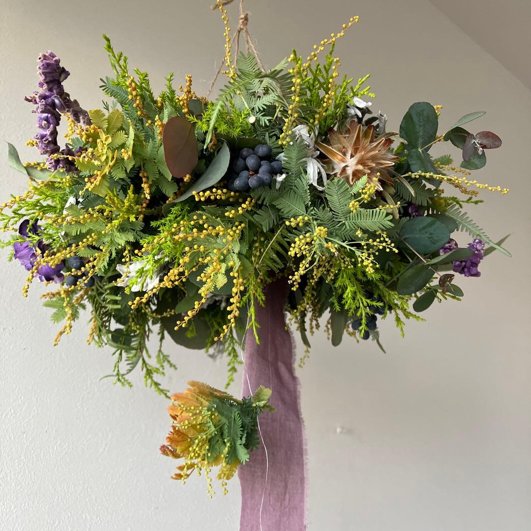 感謝SALE!オーレアミモザとプルモサムのフライングリース　ビオラ