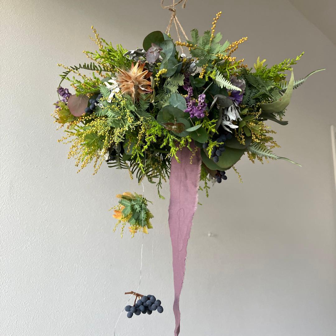 感謝SALE!オーレアミモザとプルモサムのフライングリース　ビオラ